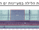 מזמזמים בלילה- קולות חרקים בטבע הישראלי