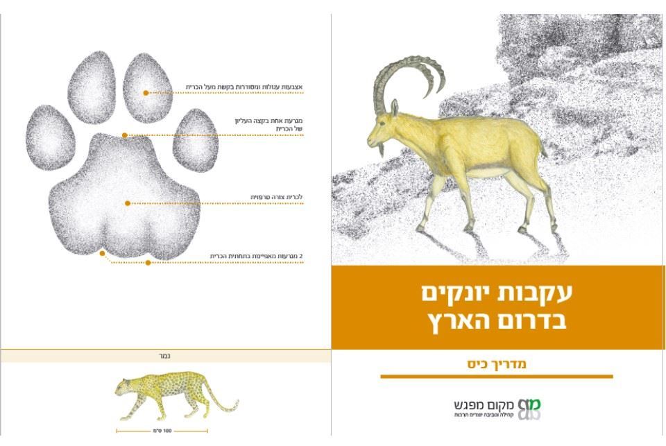 מדריך דרומי